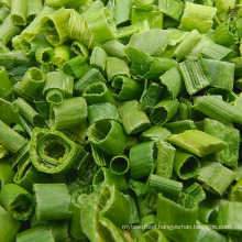 China Freeze Dried Green Onion, Chives